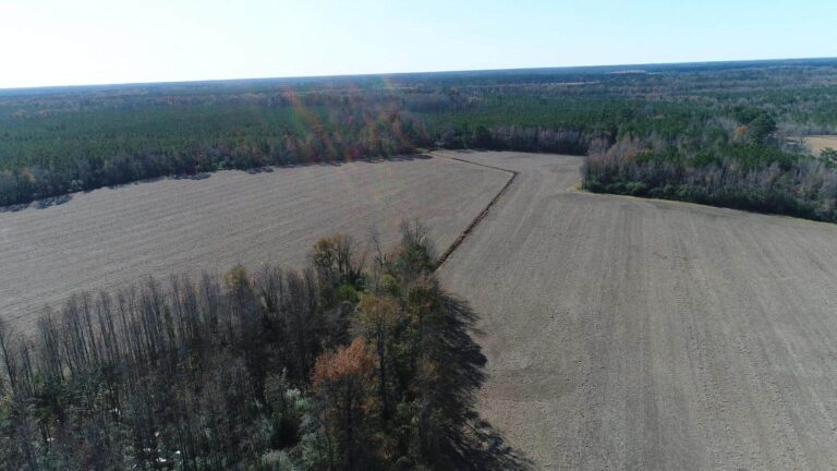 450 Acre Farm with Both Cropland and Timberland