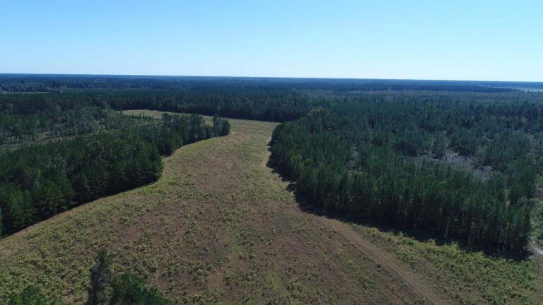 278.87 Acre Recreational Tract with Investment Potential